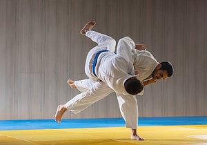 What can we learn from the principles and techniques of Judo? 