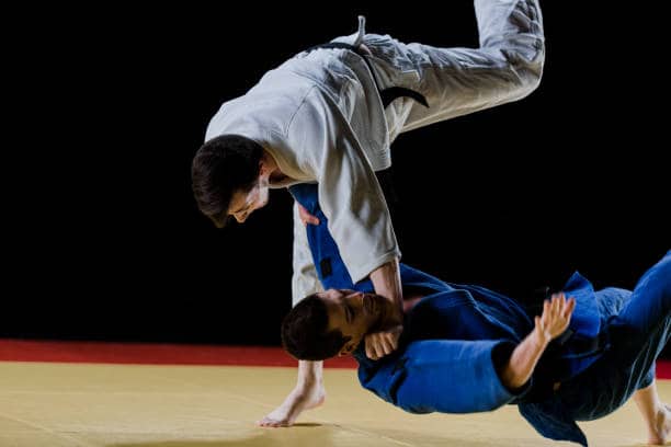 What can we learn from the principles and techniques of Judo?