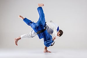 What can we learn from the principles and techniques of Judo? 