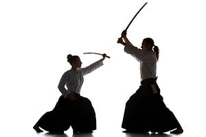 The Different Martial Arts Schools and Their Philosophies