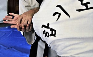 What is Hapkido? 