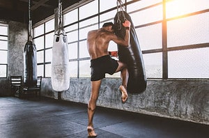 What are the origins of Muay Thai and Kickboxing, and how have they evolved over time? 
