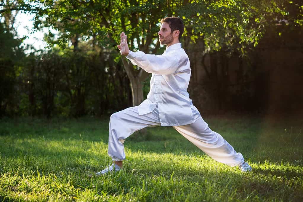 How to choose a Martial Arts