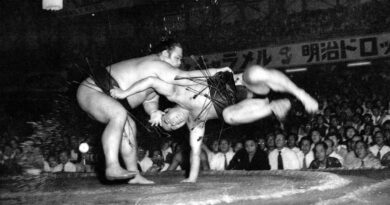 Sumo: Unveiling the Majestic Art of Japanese Wrestling