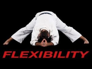 Which martial arts is best for flexibility?